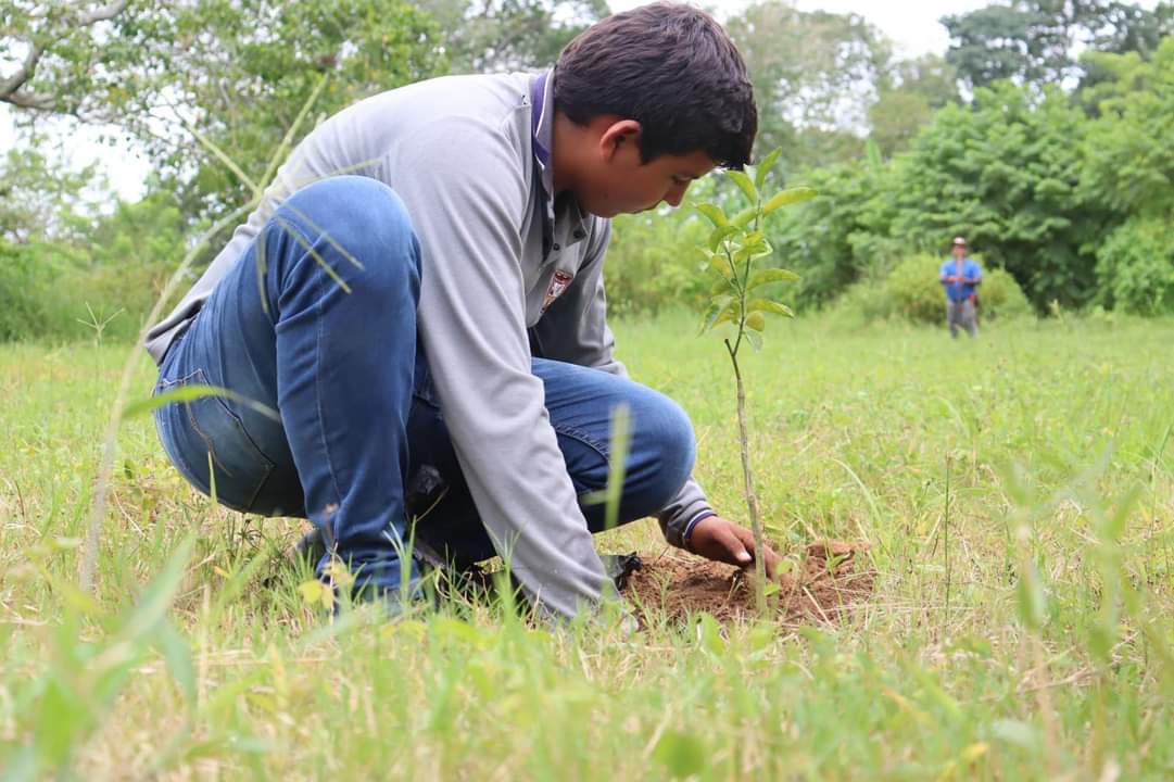 Sembrando futuro: estudiantes lideran proyecto agroecológico autosostenible